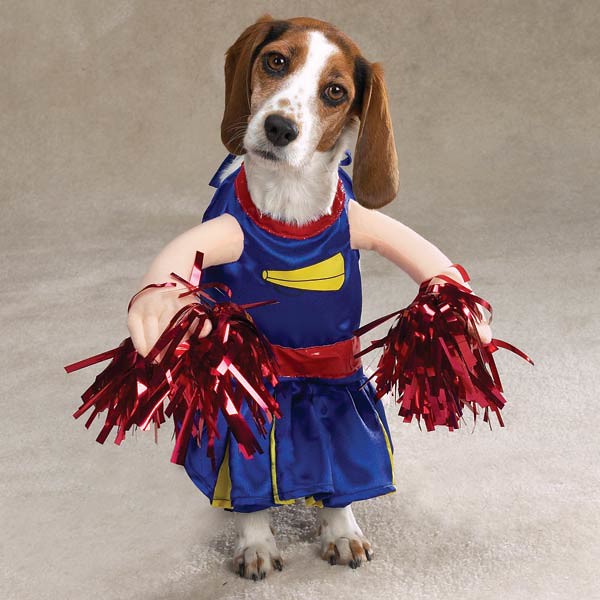 Funny Dog Costume Cheerleader