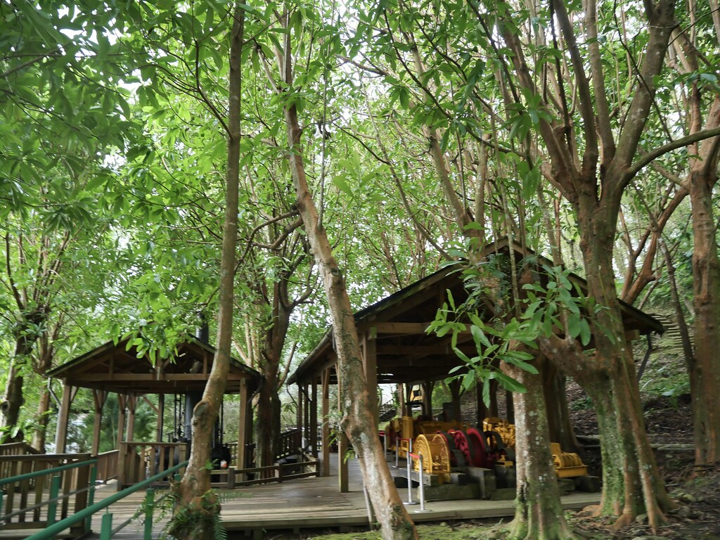 池南國家森林遊樂區