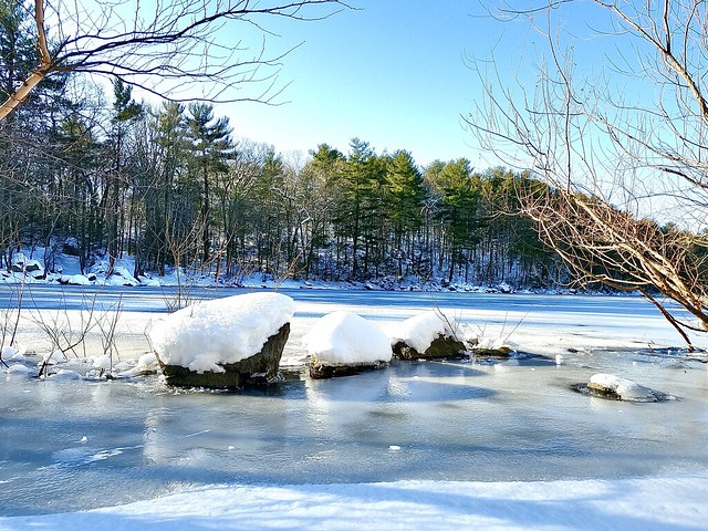 Winter shots from Lynn Woods