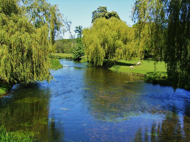 The River Stour