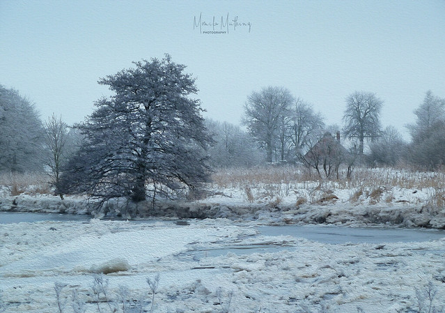 Winter am Fluss II