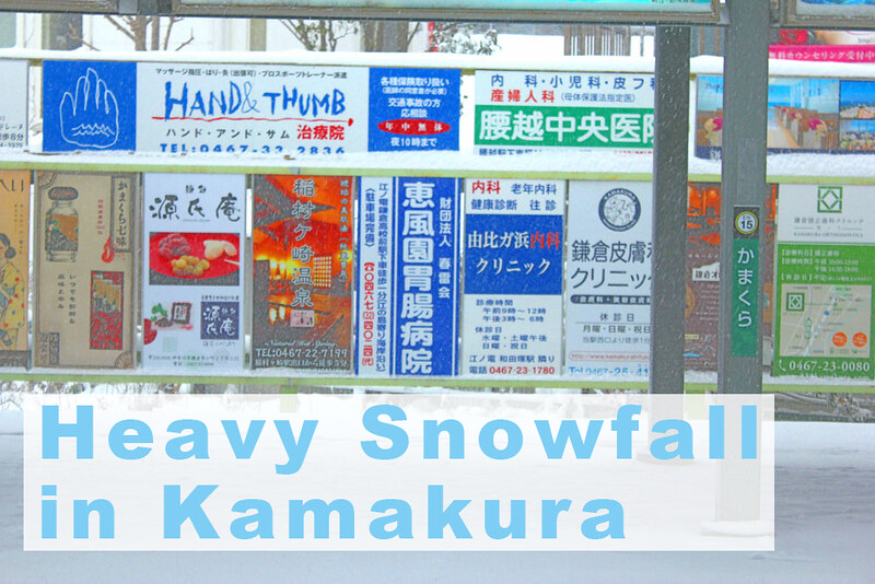 神奈川 雪の鎌倉 関東を襲った大雪の日に古都鎌倉を雪中行軍の旅 My Roadshow 登山ブログ