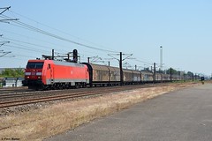 DB Cargo Scandinavia EG 3109 - Taastrup