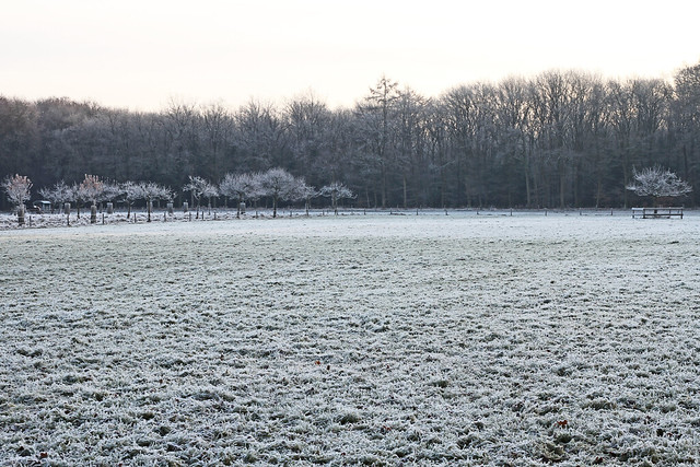 Winterlandschap
