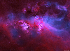 The Statue of Liberty Nebula (NGC 3576)