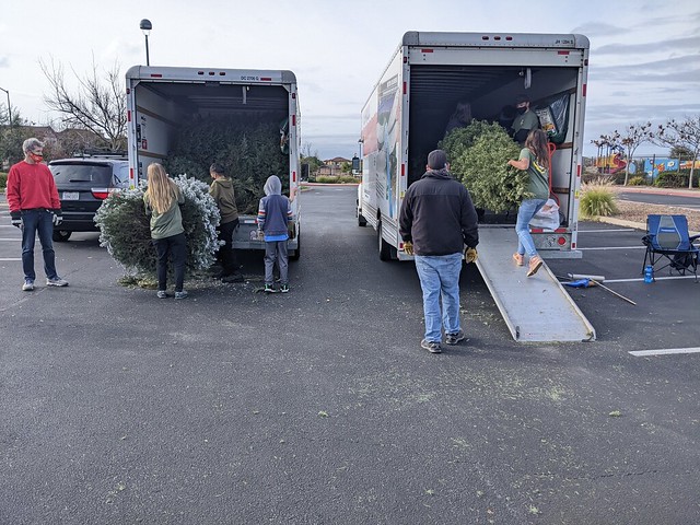 2022-01-08 Christmas Tree recycling fundraiser