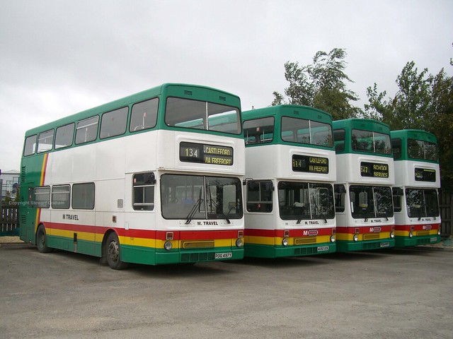 Archive: M Travel Metrobuses