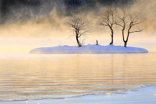 sunrise mist lakehibara tree warmtone ripple water