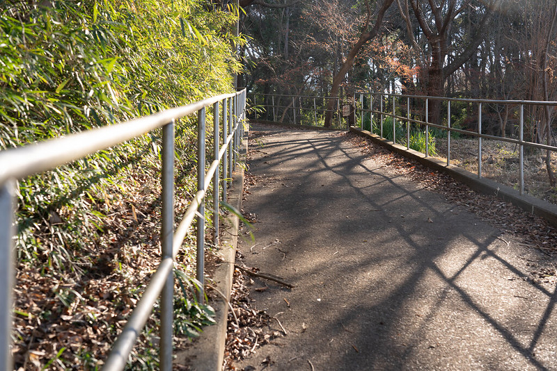 六国見山森林公園