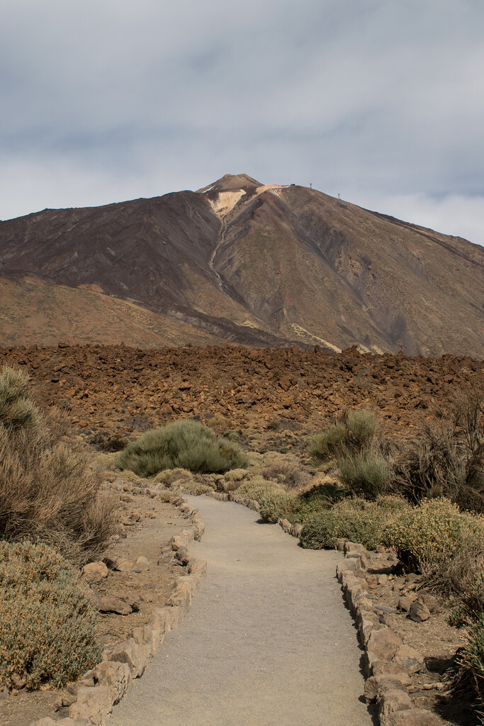 Camino al Teide