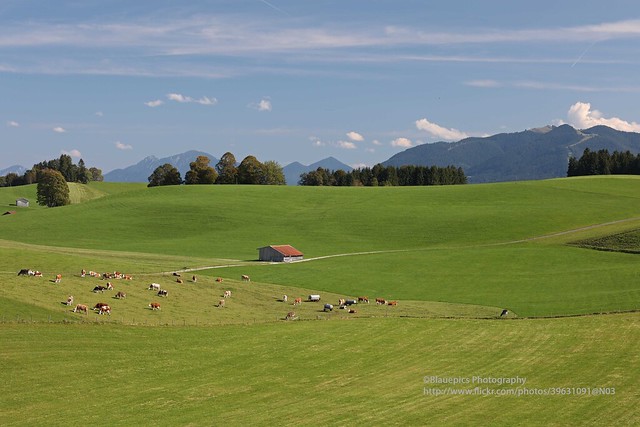 Wildsteig, rural landscape