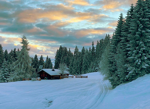 laax murschetg swiss switzerland snow cabin winter landscape mountain forestlovers sunset wintersport snowscape ski bobross blueribbonwinner