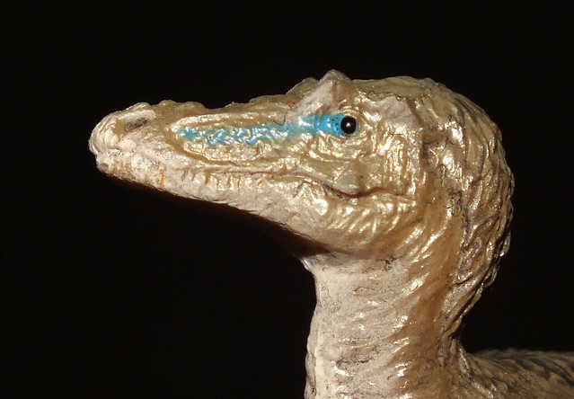 Qianzhousaurus (†Qianzhousaurus sinensis) head PNSO replica