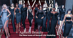 tribute to Harper's Bazaar's April 2012