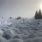 Herzogenvenn im Nebel, Sourbrodt, Ostbelgien