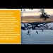 ski video report Zieleniec
