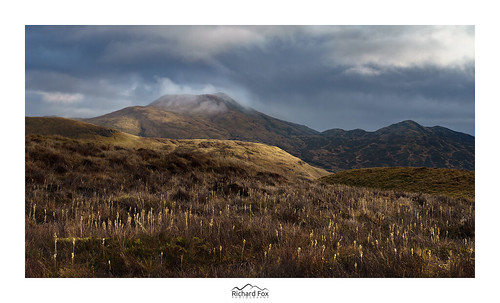 There's Gold in Them There Hills | by http://www.richardfoxphotography.com