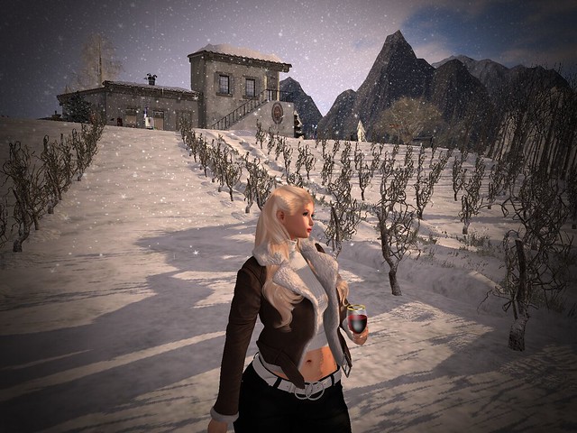 Winery Winter Wonderland