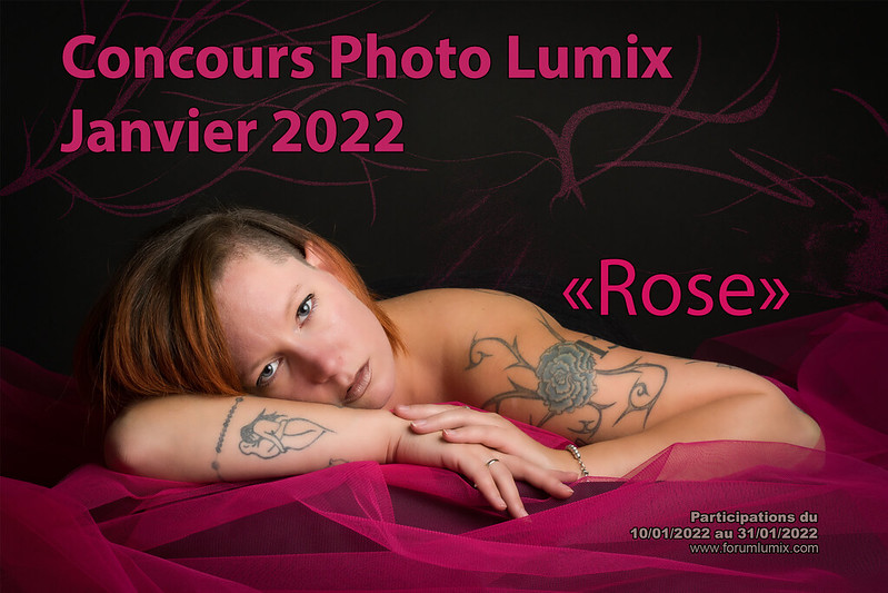 concours photo "ROSE" Janvier 2022 51813874720_892a0992cb_c_d