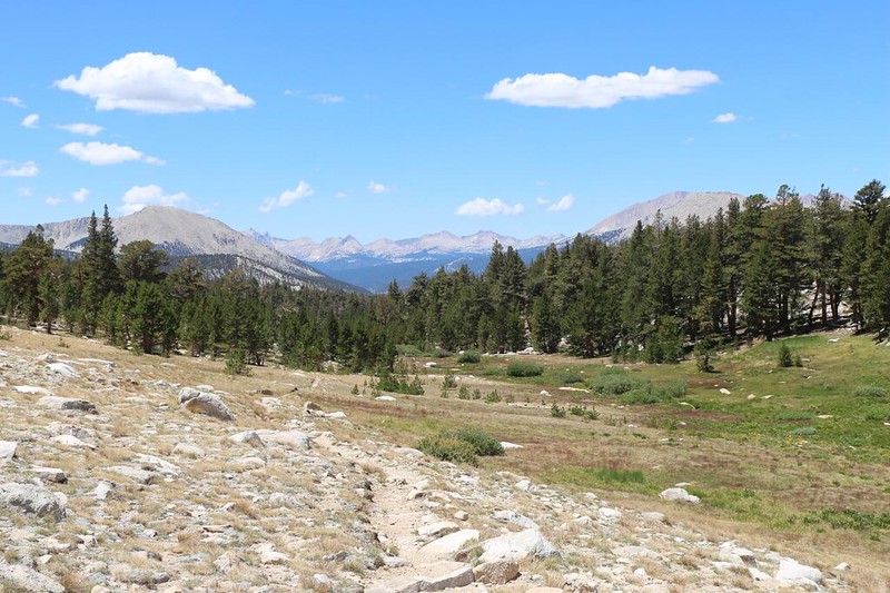 Nearing the bottom of the New Army Pass Trail, with Mount Anna Mills, left, and Mount Guyot (12300 ft), right