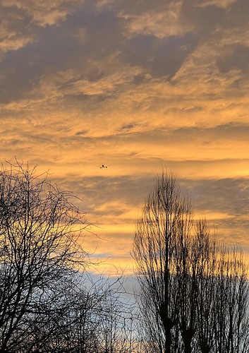 Into the morning sky | by Dorin Moise