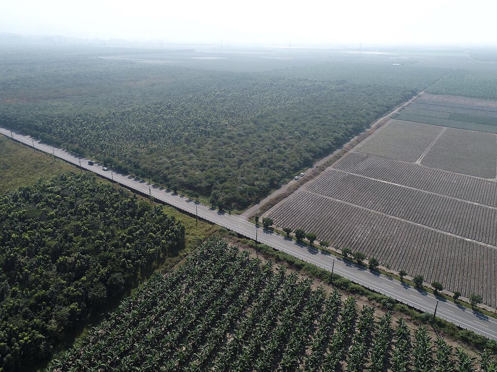屏東台糖大響營農場。下方是台糖出租農企業種植的香蕉，左上是桃花心木造林，右上種的印度紫檀。平地的造林通常是一大塊地種單一樹種，完全是經濟林的做法。攝影：傅志男