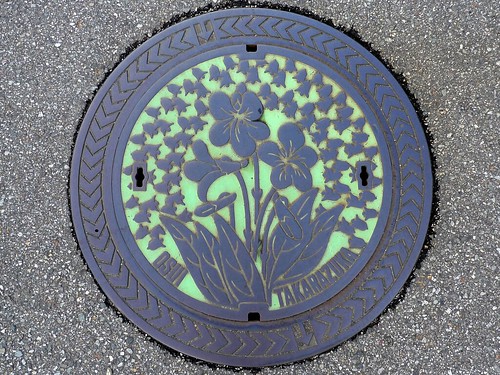 Takarazuka Hyogo, manhole cover （兵庫県宝塚市のマンホール）