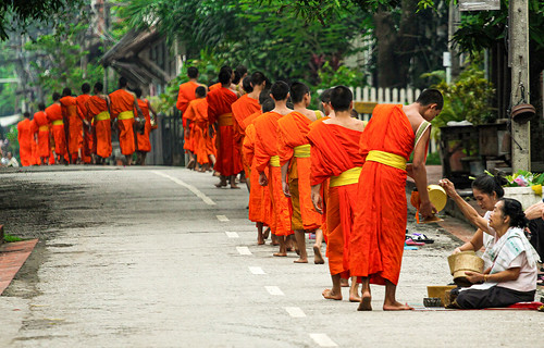 buddhism people religion alms morning spirituality outdoors cultures tradition buddha ceremonialrobe day midadult laos asia luangprabang ceremony offerings orange sunrise procession monks alignment indianfile street streetphotography travelphotography