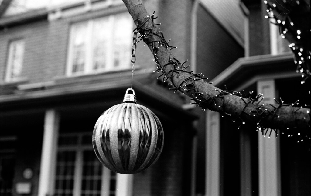Outdoor Chirstmas Ornament