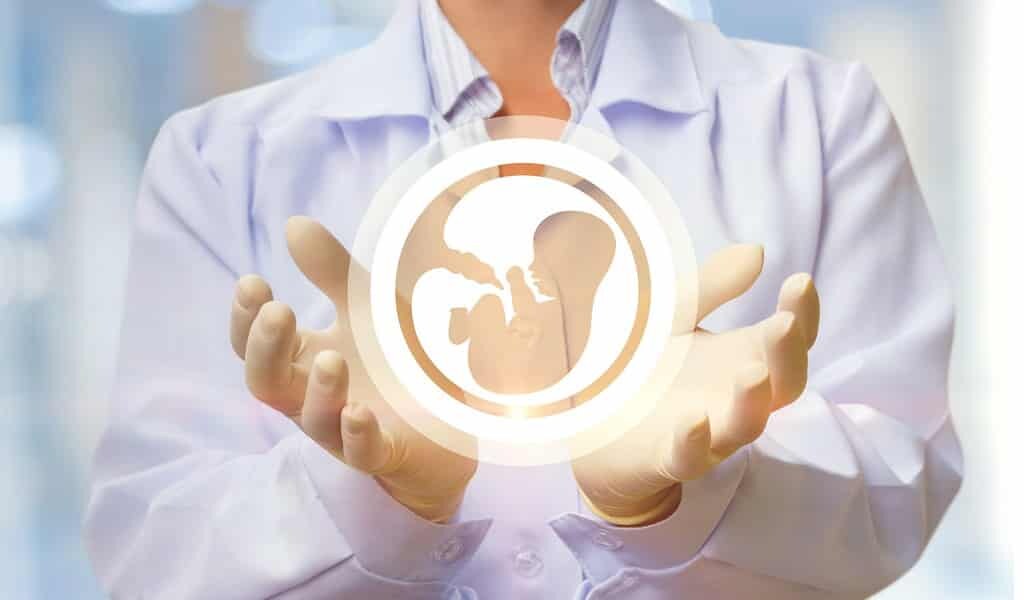 exposition-du-placenta-aux-BPA-affecte-le-fœtus