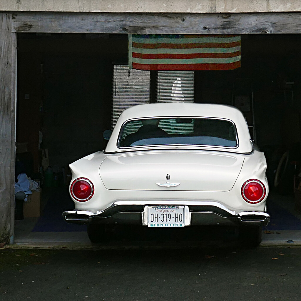 Thunderbird at Nest