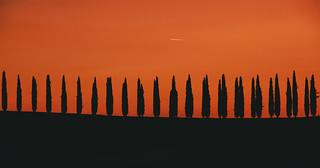 Cypresses at sunset, Cipressi al tramonto (on Explore 14 January 2022) | by Roberto Bendini