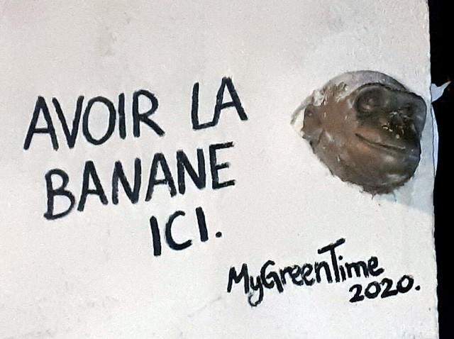 Wall by Mygreentime [Lyon, France]