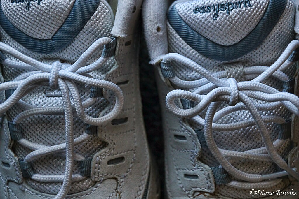 Shoelaces | Diane Bowles | Flickr