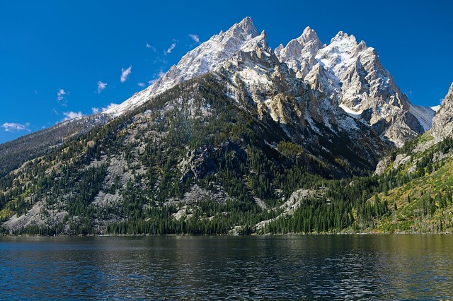 Jenny Lake View
