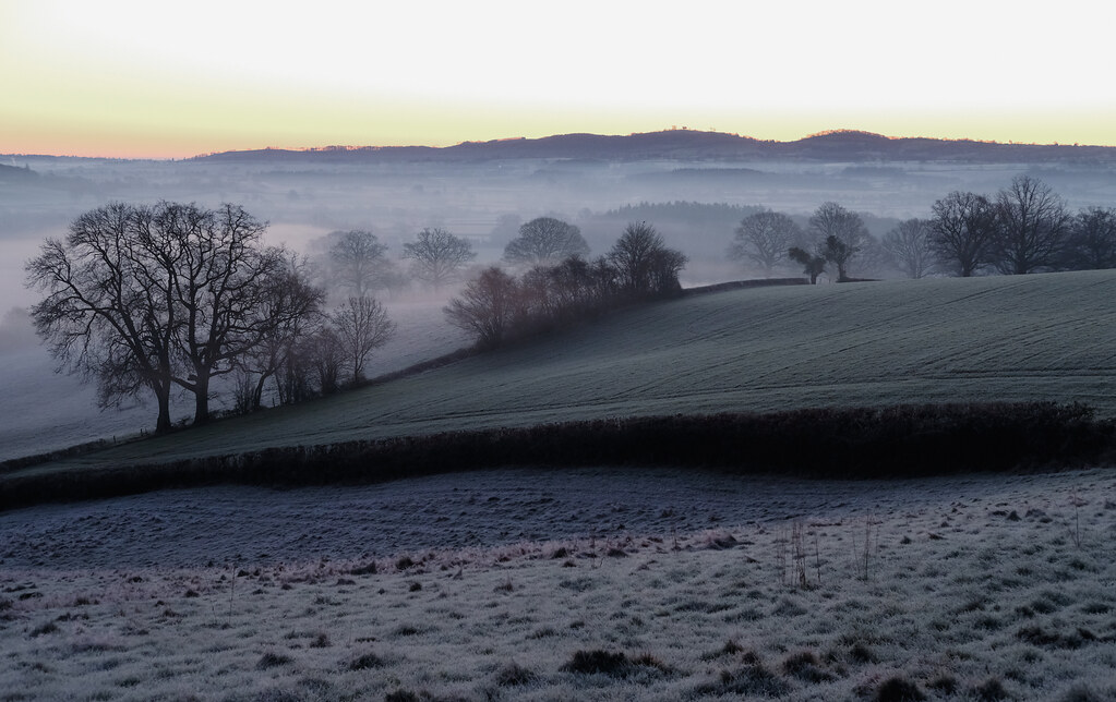 A photo across frosty dawn fields to a misty valley where the silhouettes of bare trees poke through the fog