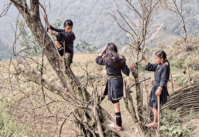 Vietnam - Sapa, area, playing young Black Hmong girls
