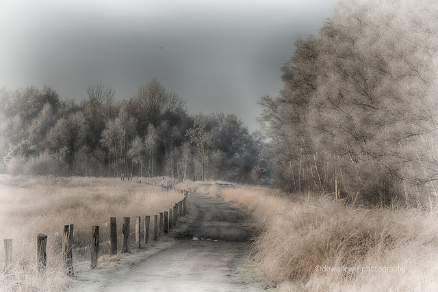 winter path