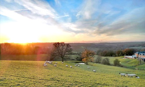 Looking over The Weald, Goudhurst, Kent | by lozpage39