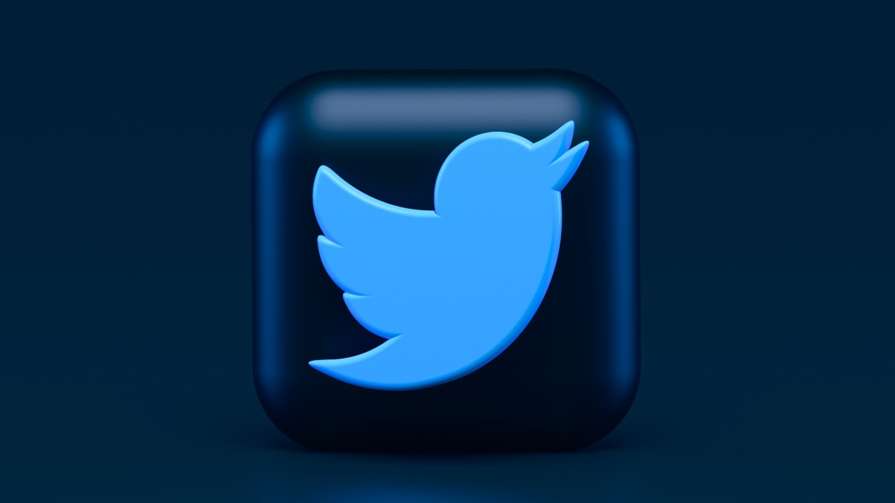 The twitter bird icon