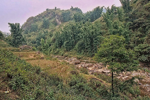 Vietnam - Sapa area, landscape with river and terraced fields