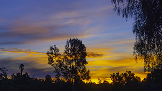 Sunrise Over Eucalyptus Hills