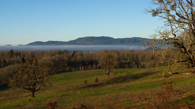 Buford Park with Fog over the Willamette River