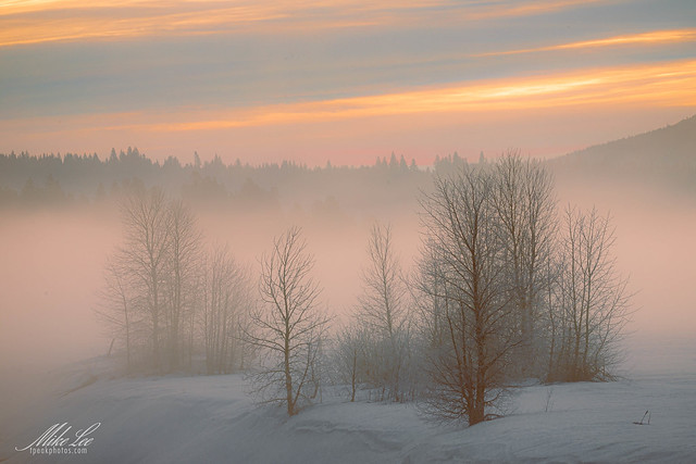 Frosty Dawn
