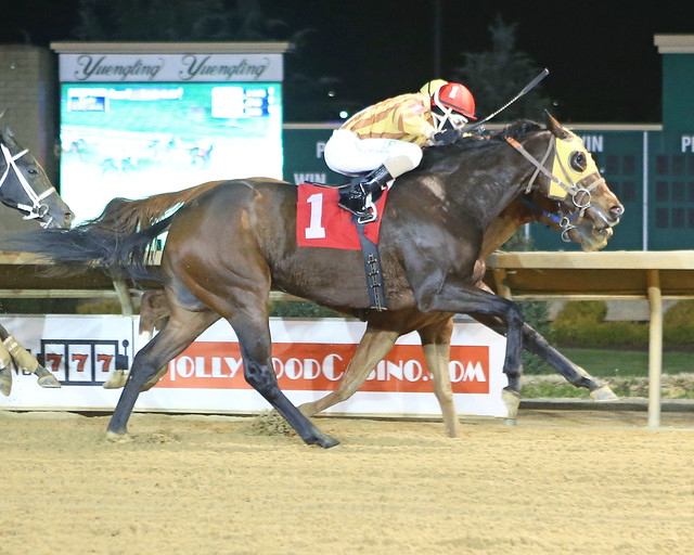 Command the Cat won at Charles Town 12-15-21. Photo Coady Photography.