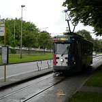 Ghent: De Lijn PCC-tram, Zuidparklaan (Oost-Vlaanderen)