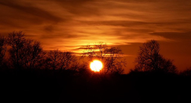 001   Lincolnshire Sunset