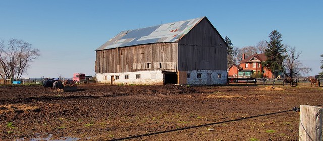 Farm with 19thC barn and house, Halton Region, Ontario.