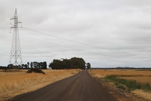Traditional pylons support the single circuit Ballarat to Terang 220 kV line outside Lismore, Victoria