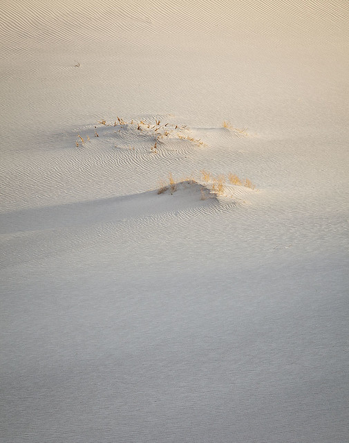Textures in Sands - Death Valley National Park (2013)